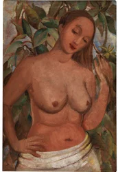 Semidesnudo femenino